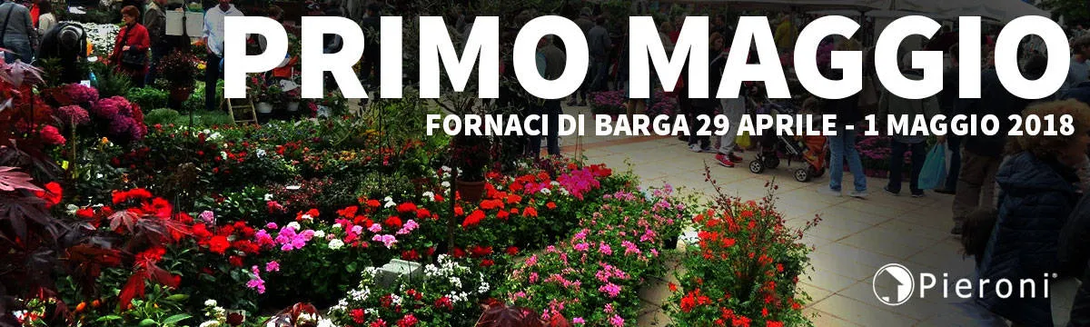 Foto di fiori colorati con scritta Primo Paggio Fornaci di Barga e logo Pieroni
