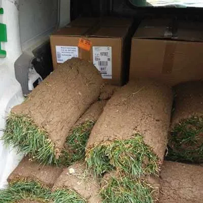 Rotoli di erba in preparazione dello stand